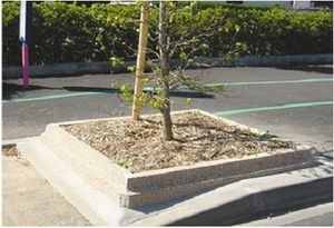 Baum-Randeinfassung / Beton / kreisförmig / quadratisch
