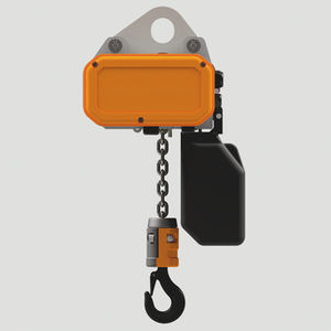 Hebezange mit elektrischem Flaschenzug 1