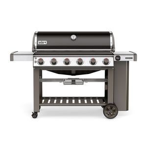 Gas-Gartengrill