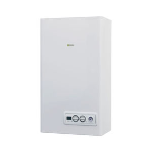 Gas-Heizkessel 1