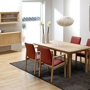 Esszimmerstuhl / skandinavisches Design 1