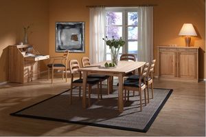 Esstisch / skandinavisches Design