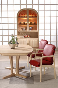 Esszimmerstuhl / skandinavisches Design