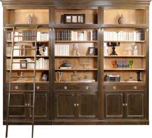 klassische Bibliothek / Holz