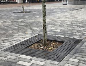 quadratisches Baumgitter