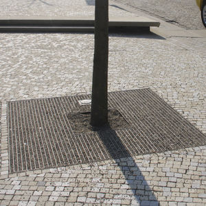 quadratisches Baumgitter