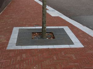 quadratisches Baumgitter 1