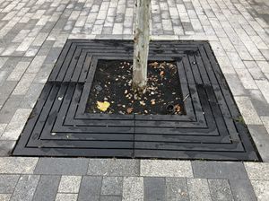 quadratisches Baumgitter 1