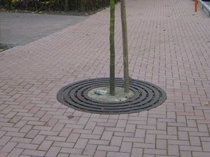 rundes Baumgitter