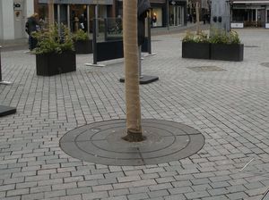 rundes Baumgitter 1