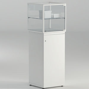 moderne Vitrine 1