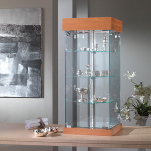 moderne Vitrine 1