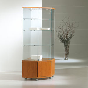 moderne Vitrine 1