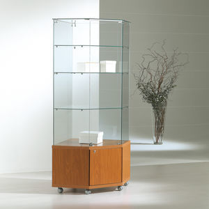 moderne Vitrine 1