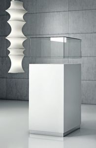 moderne Vitrine 1