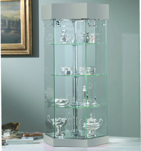 moderne Vitrine 1