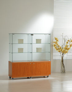 moderne Vitrine 1