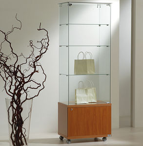 moderne Vitrine 1