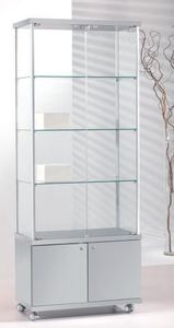 moderne Vitrine 1