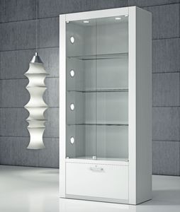 moderne Vitrine 1