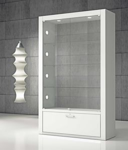 moderne Vitrine 1