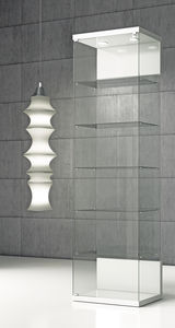 moderne Vitrine 1
