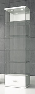 moderne Vitrine 1