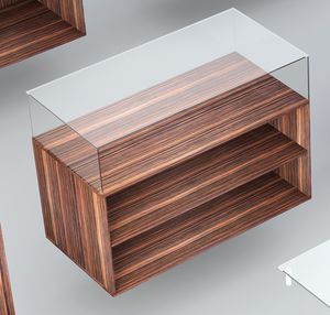 moderne Vitrine 1
