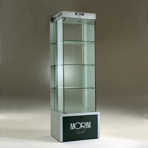 moderne Vitrine 1