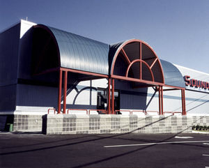 Aluminium-Dachplatte 1