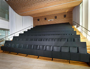 moderner Auditoriumsessel