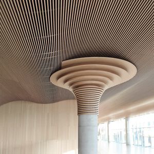 Bambuszwischendecke