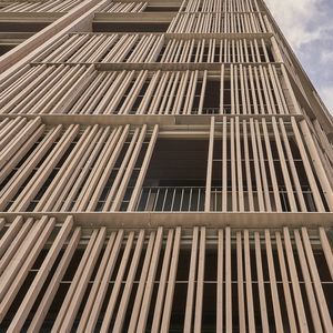 Spalier für Fassade 1