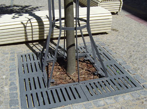 quadratisches Baumgitter 1