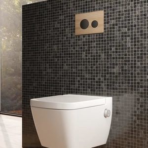 Selbstschluss-Toilettenspülung 1