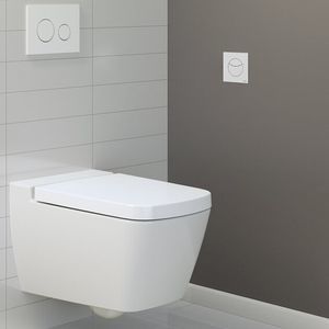 einfacher WC-Spülknopf