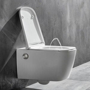 Dusch-WC 1