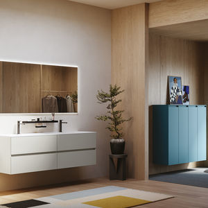 Contract-Lagerschrank