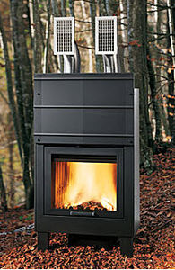 Geschlossene Feuerstelle / Holz / 1 Sichtseite / Metall