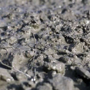 Selbstverdichtend-Beton
