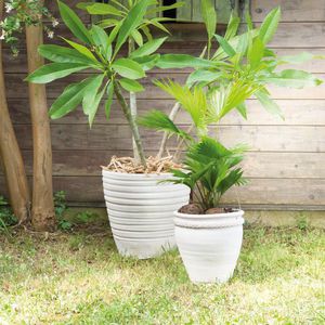 Terrakotta-Pflanzgefäß