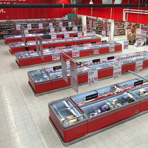 Profi-Gefrierschrank 1