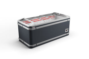 Profi-Gefrierschrank 1