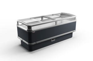 Profi-Gefrierschrank 1