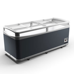 Profi-Gefrierschrank 1