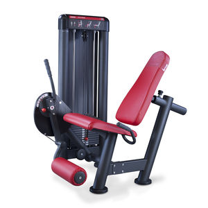 Beinstreckungs-Fitnessgerät 1