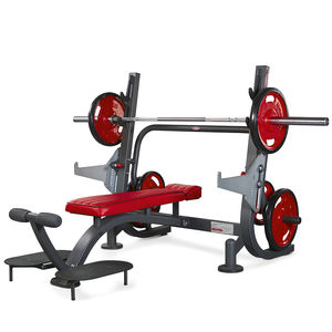 regelbare Krafttrainingsbank 1