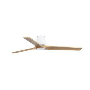 Axial-Deckenventilator 1