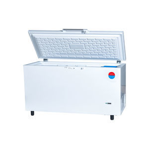 Profi-Gefrierschrank 1