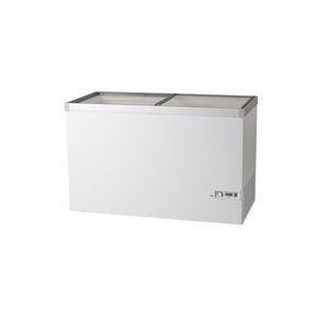 Profi-Gefrierschrank 1